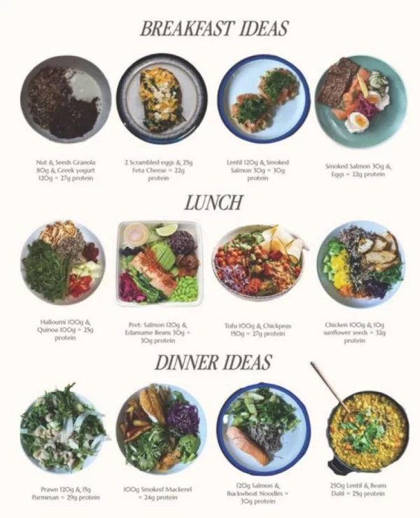 visual guide how 25-30g protein containing meals could look like for breakfast, lunch and dinner