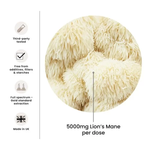 FungShui - High Strength Lions Mane Mushroom Tincture Liquid Extract — image 8