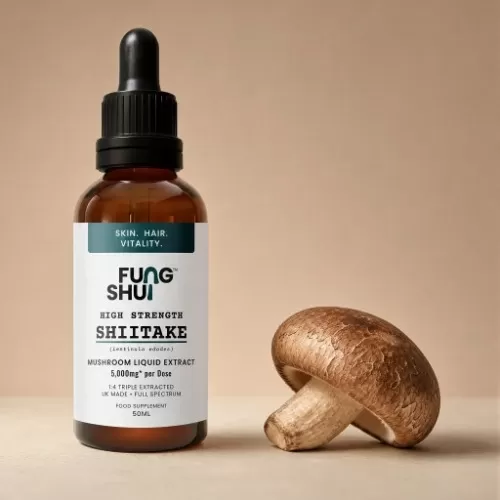  FungShui - High Strength Shiitake Premium Mushroom Tincture Liquid Extract