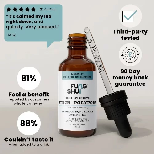 FungShui - High Strength Birch Polypore Premium Mushroom Tincture Liquid Extract — image 2