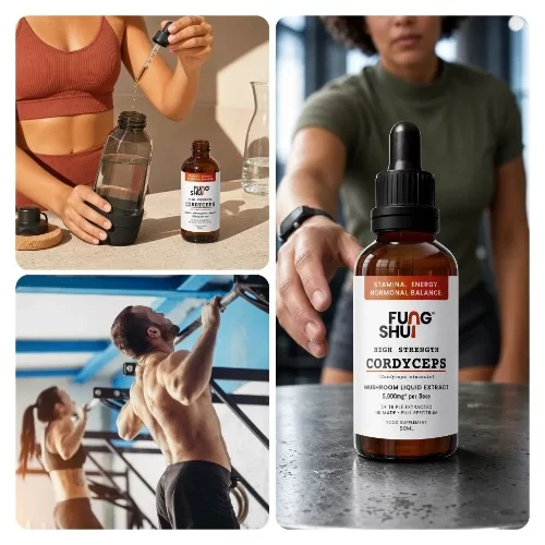FungShui - High Strength Cordyceps Premium Mushroom Tincture Liquid Extract — image 4