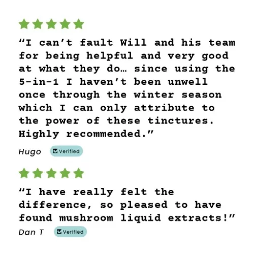 FungShui - High Strength Multi Mushroom Tincture Liquid Extract — image 5