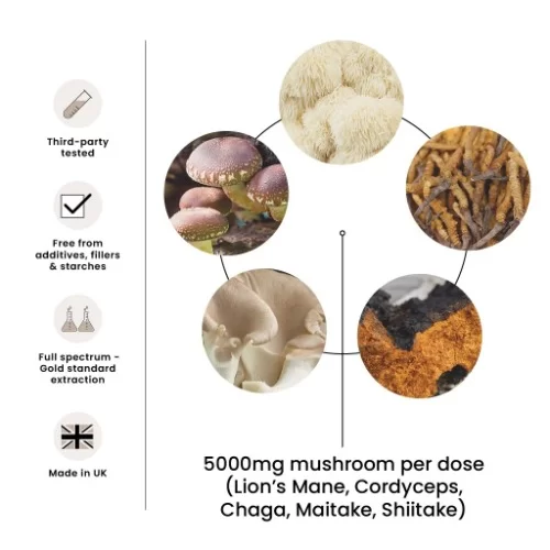 FungShui - High Strength Multi Mushroom Tincture Liquid Extract — image 4