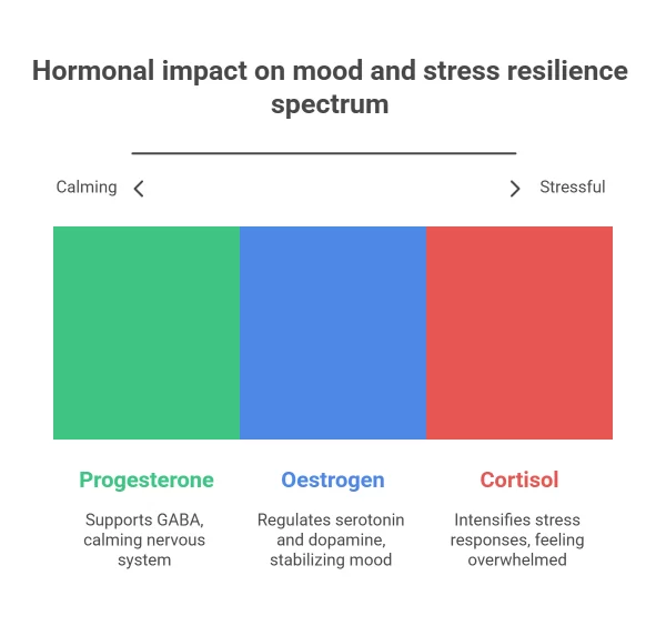 The Science: Hormones and the Brain